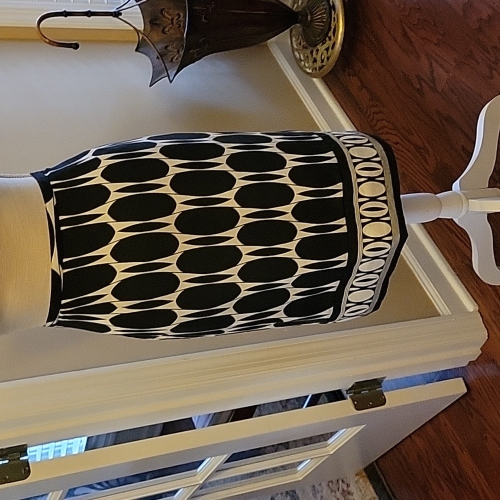 Silkland 100% silk black white geometric print skirt side zipper Lined 16 EUC…